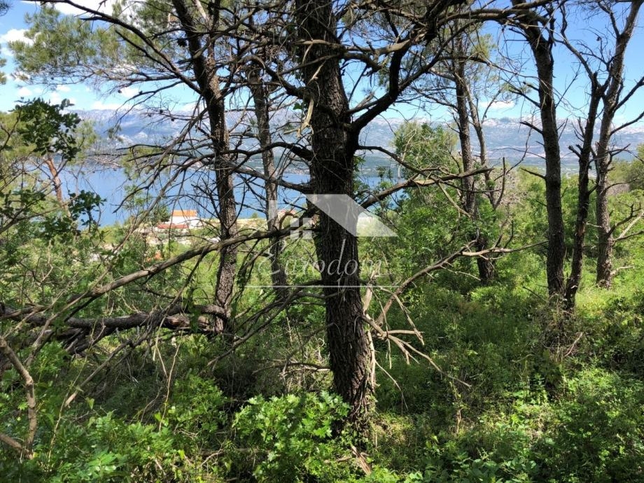 Zemljišče Novigrad, 2.161m2