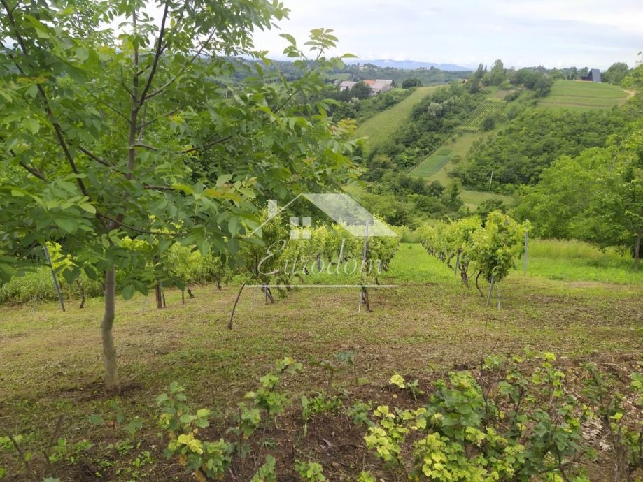 Hiša Vlaškovec, 255m2