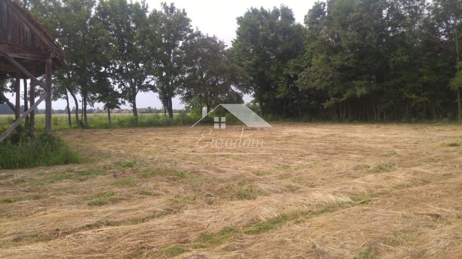 Hiša Zelina Breška, Ivanić-Grad - Okolica, 165m2