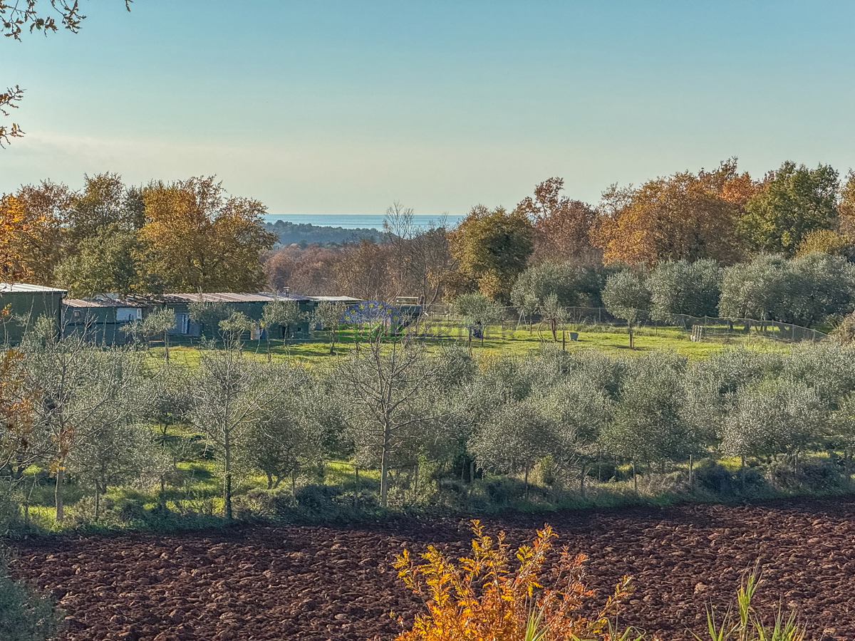 Prostran stan s pogledom na morje, Poreč 4,5 km