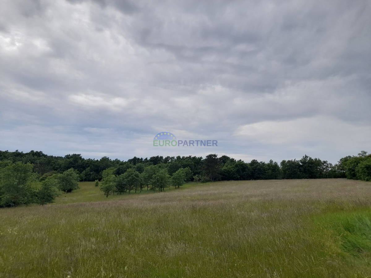 Istra, Poreč, Baderna, kmetijsko zemljišče