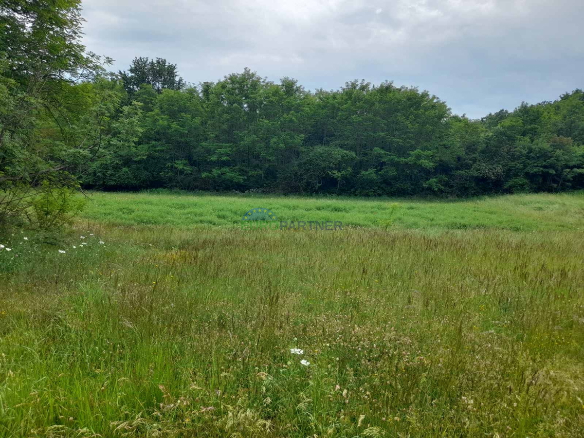 Istra, Poreč, Baderna, kmetijsko zemljišče