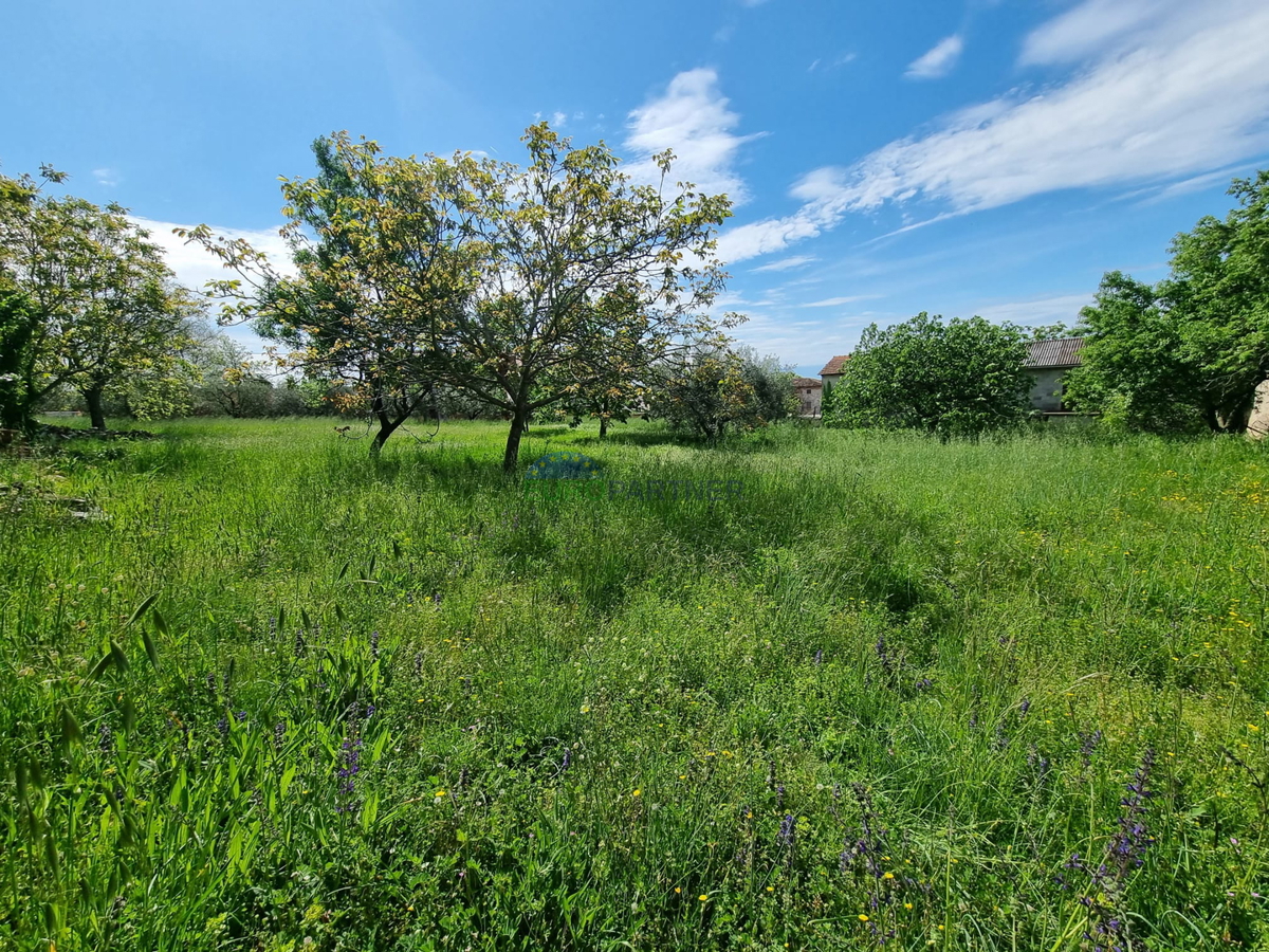 Zemljišče 850m2 Kaštelir Labinci