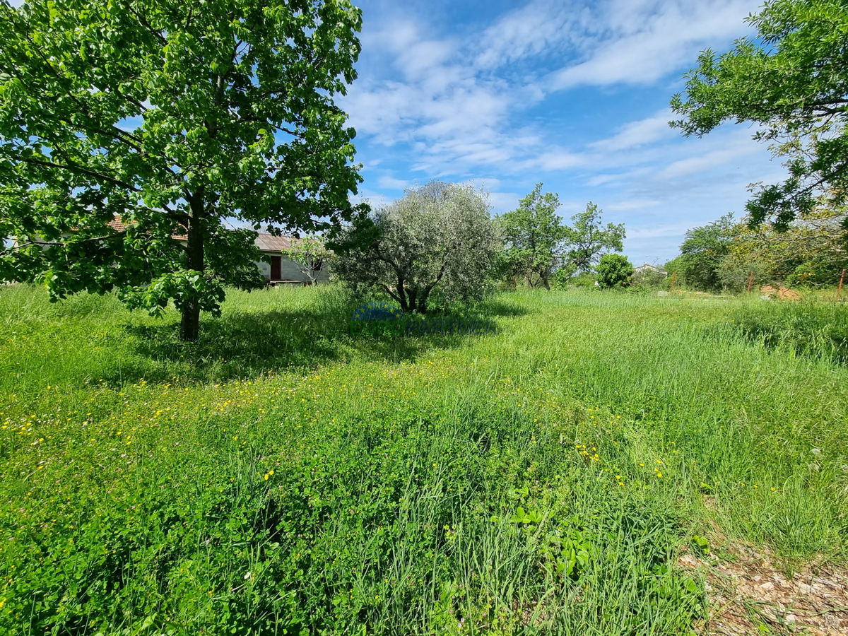 Zemljišče 850m2 Kaštelir Labinci