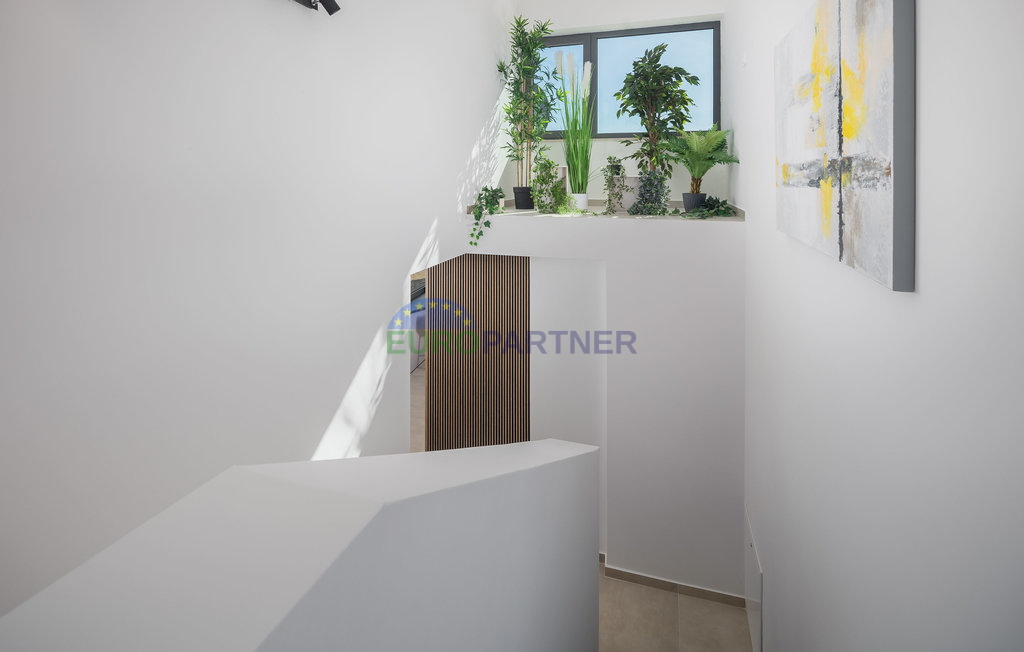 Istra, Novigrad, moderna vila s bazenom