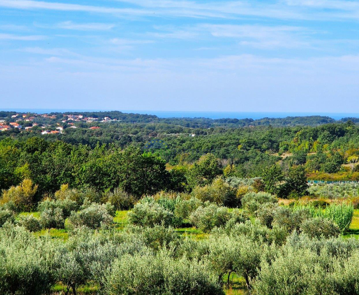 Vila s panoramskim pogledom na morje in okolico, Umag