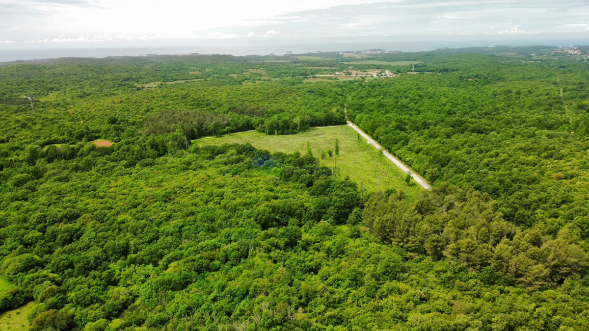 Istra, okolica Vrsarja, samostojna hiša s tremi apartmaji