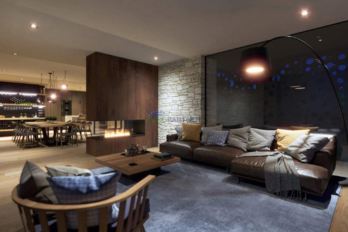 Luksuzna vila s pogledom na more, Vižinada