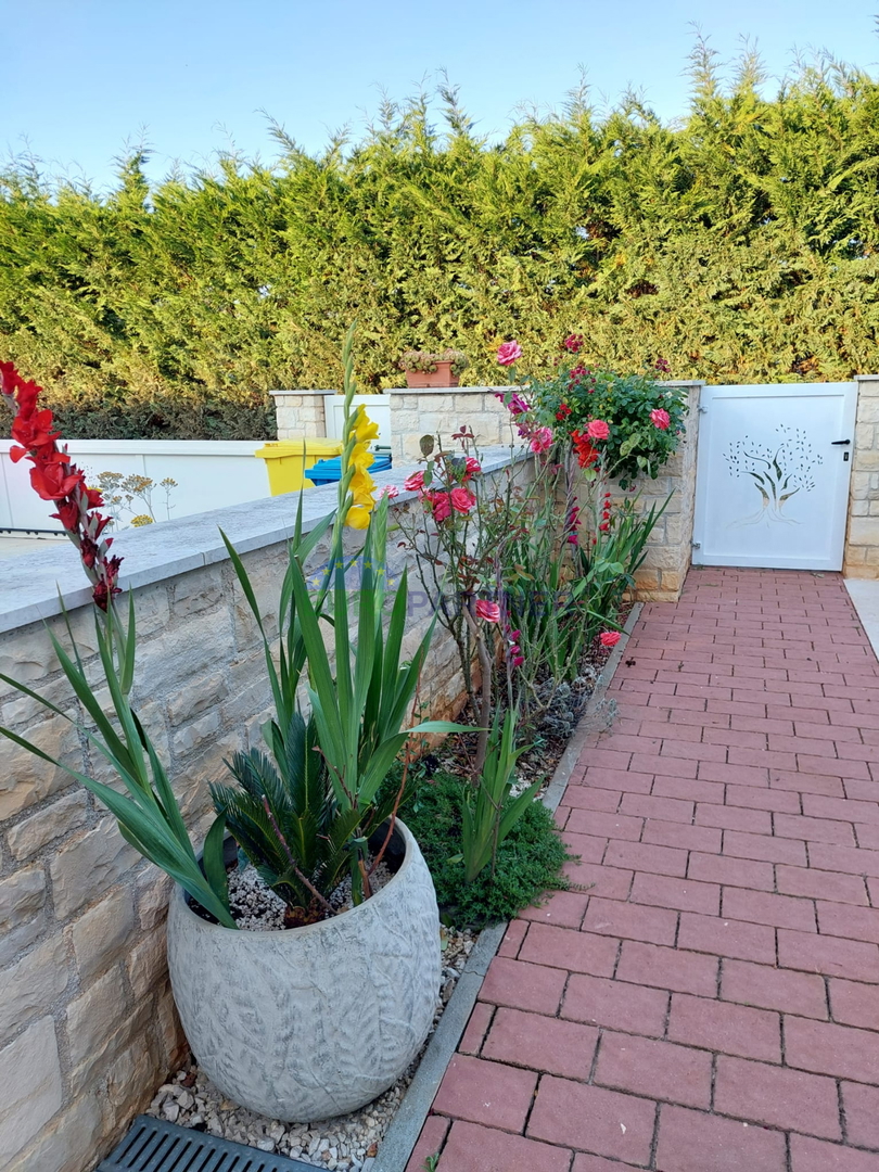 Istra, Novigrad, pritličje s bazenom na atraktivni lokaciji