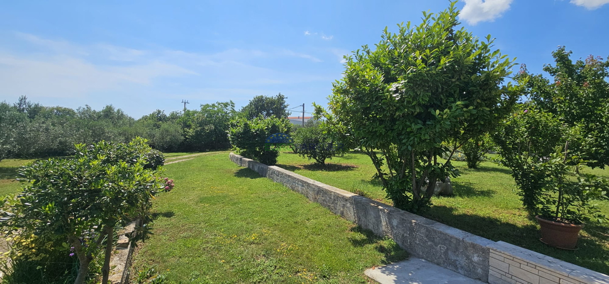Prodaja se gradbeno zemljišče s kmetijskim zemljiščem v okolici Pule