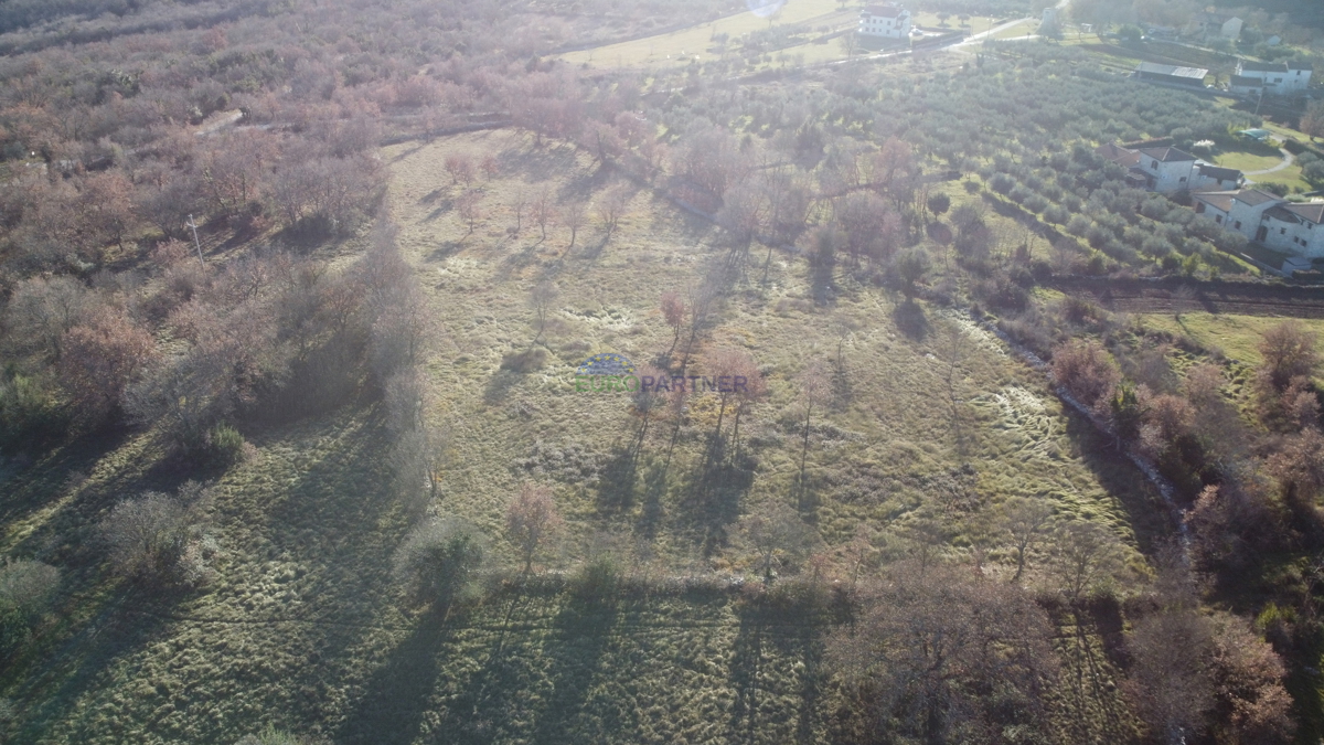 Prekrasno imanje, 5892m2 stavbene + 3562m2 kmetijskega zemljišča, okolica Poreča