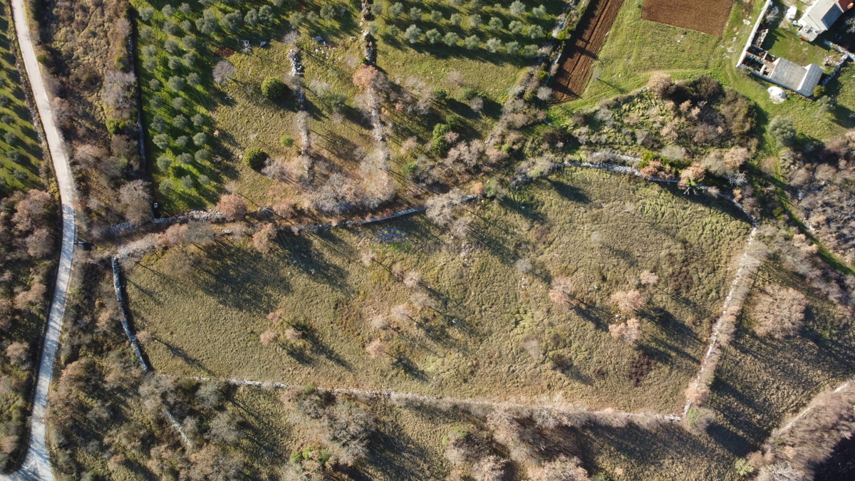 Prekrasno imanje, 5892m2 stavbene + 3562m2 kmetijskega zemljišča, okolica Poreča
