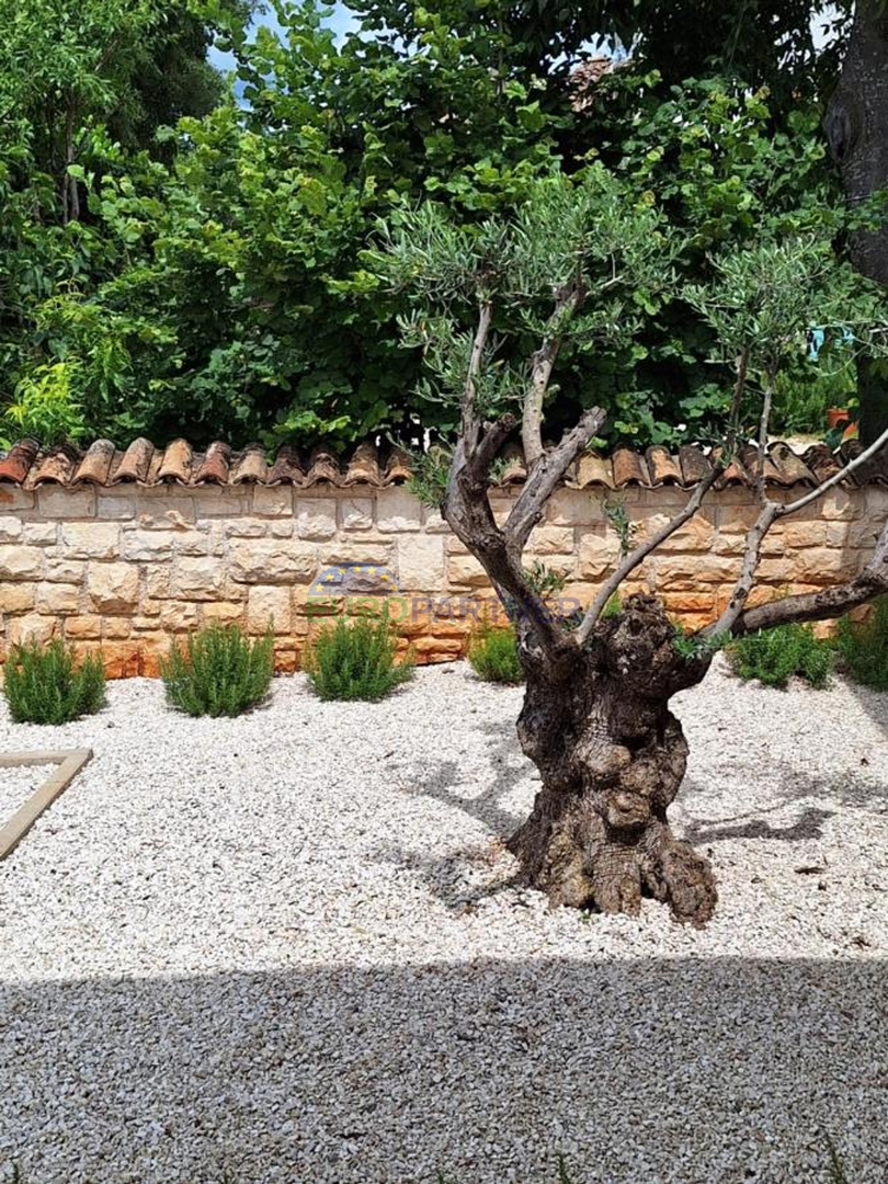 Istra, prekrasna kamena kuća u okolici Poreča