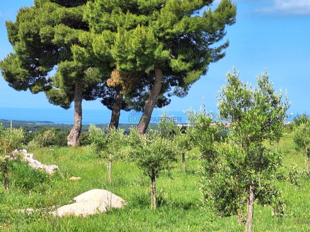 Istra, prekrasna kamena kuća u okolici Poreča