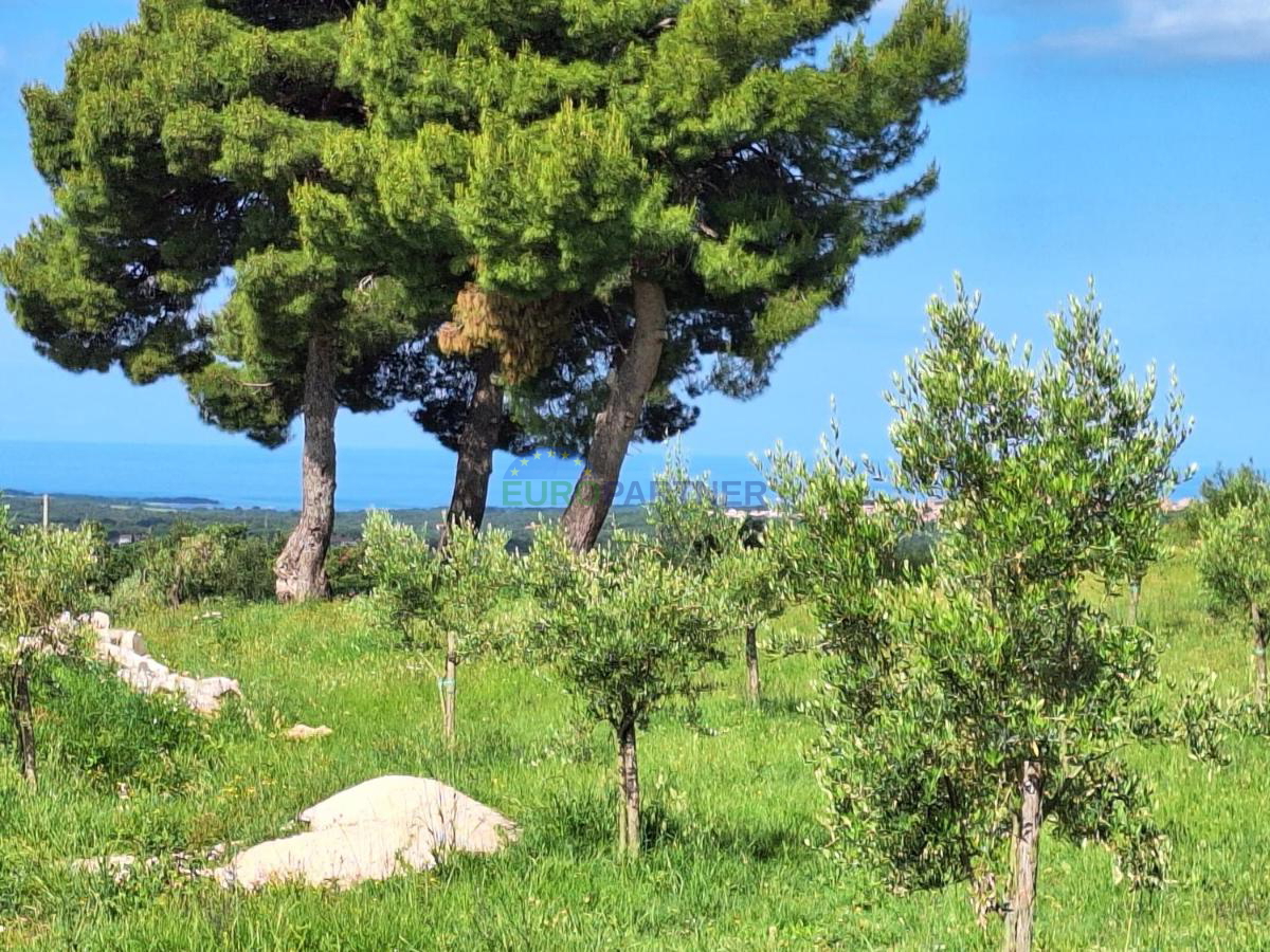 Istra, prekrasna kamena kuća u okolici Poreča