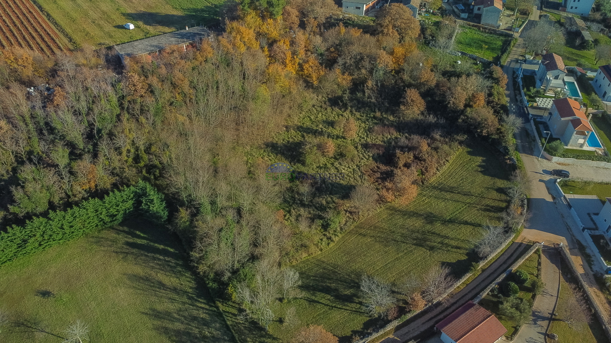 Istra, Višnjan, okolica, gradbeno zemljišče z razgledom na morje
