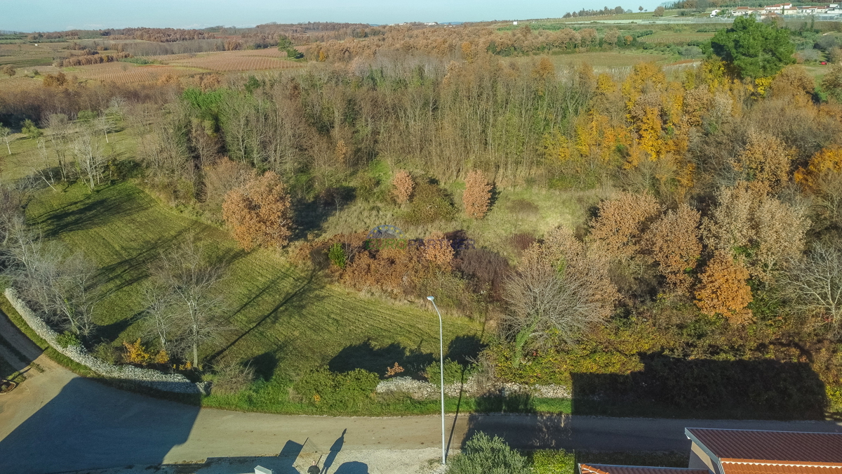 Istra, Višnjan, okolica, gradbeno zemljišče z razgledom na morje