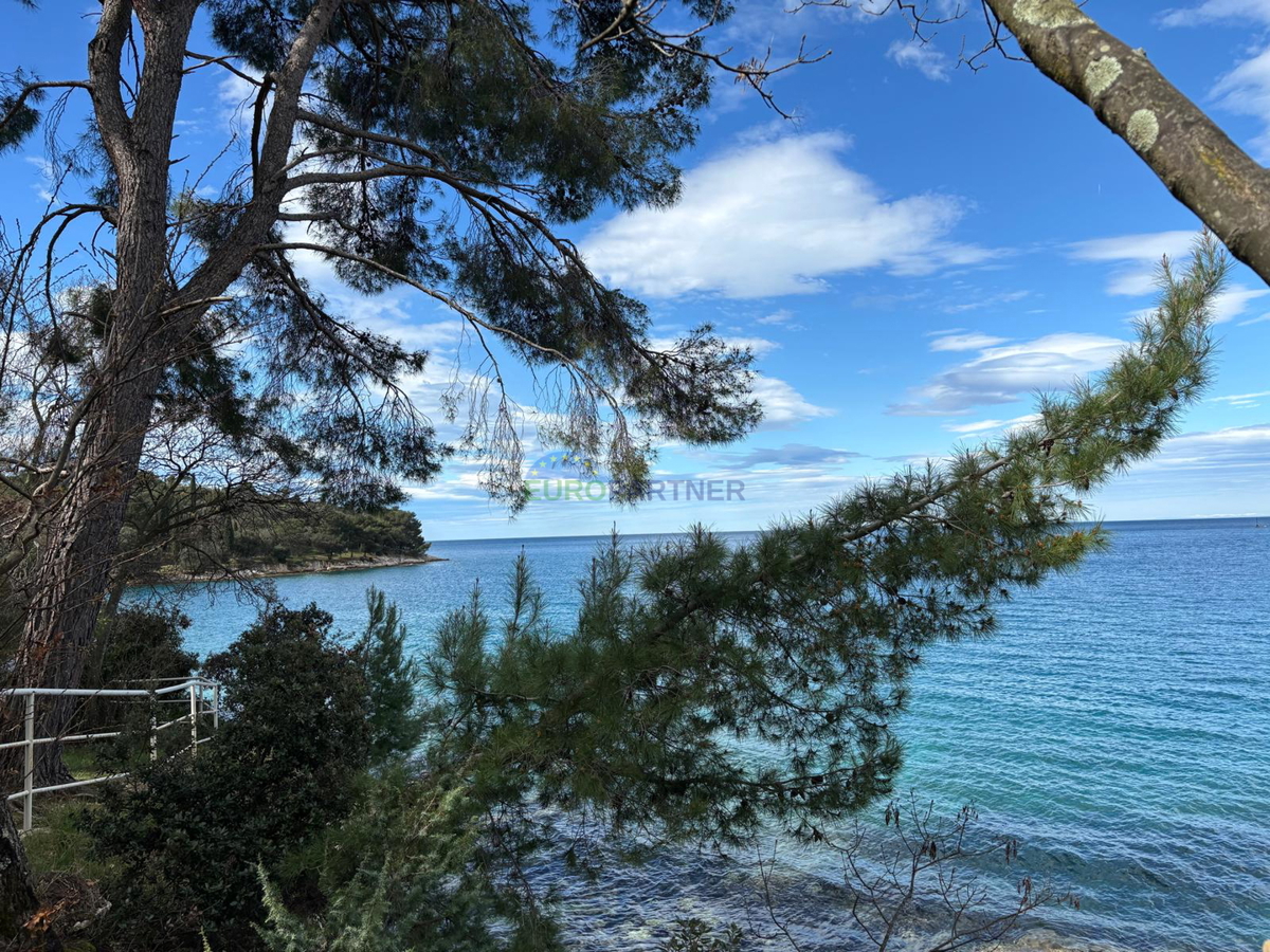 Samostojna hiša z dodatnim stanovanjem in pogledom na morje, Poreč, Istra