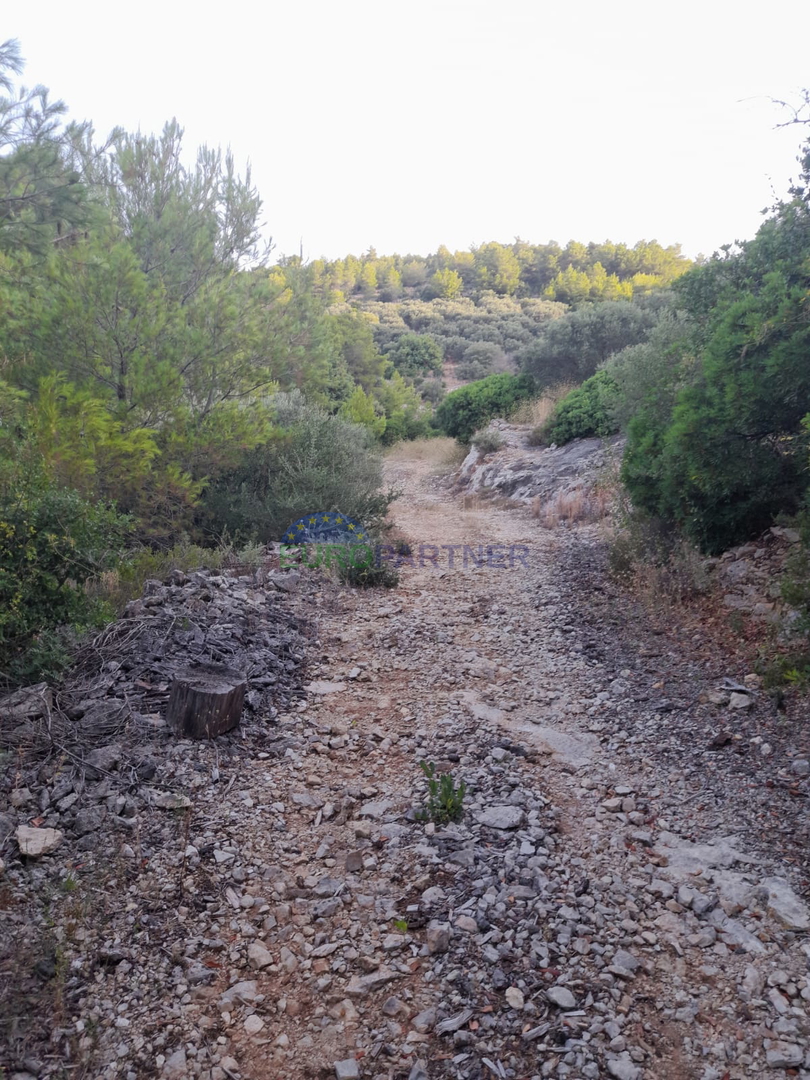 Kmetijsko zemljišče z možnostjo gradnje in pogledom na morje! Korčula