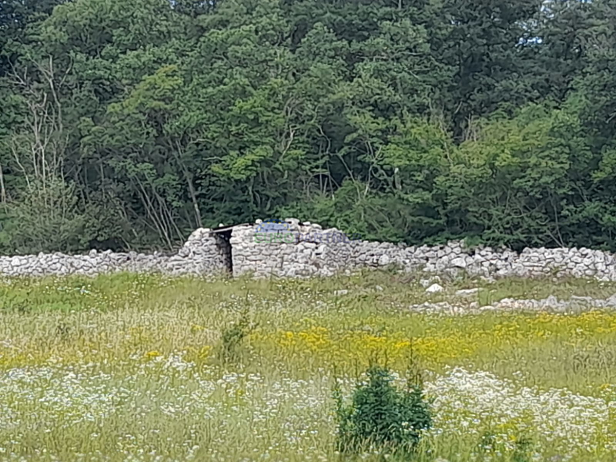 Istra, Rovinj, kmetijsko zemljišče