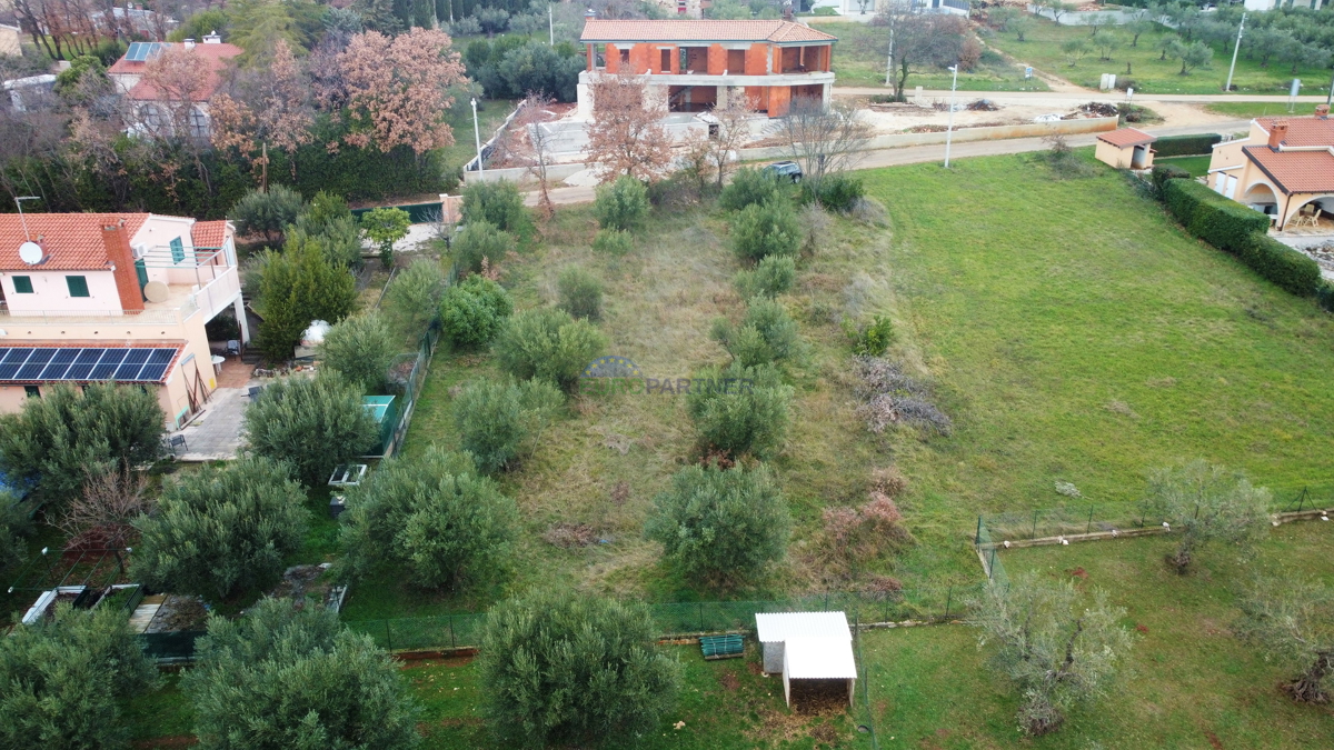 Gradbeno zemljišče s pogledom na oljčnjake, okolica Poreča