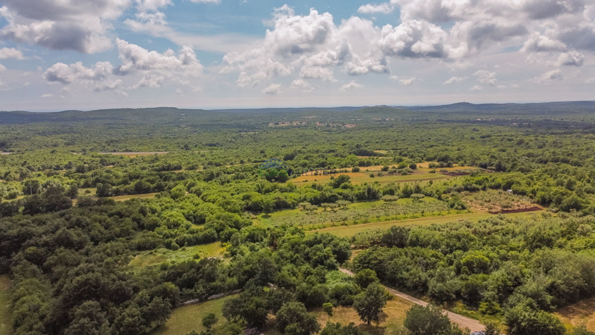 Istra, Kanfanar, luksuzna vila z bazenom