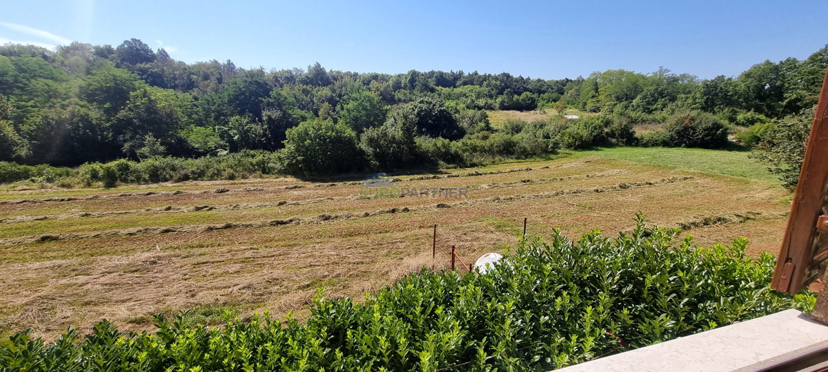 Poreč in okolica, dve hiši z velikim gradbenim zemljiščem za še 3 objekte