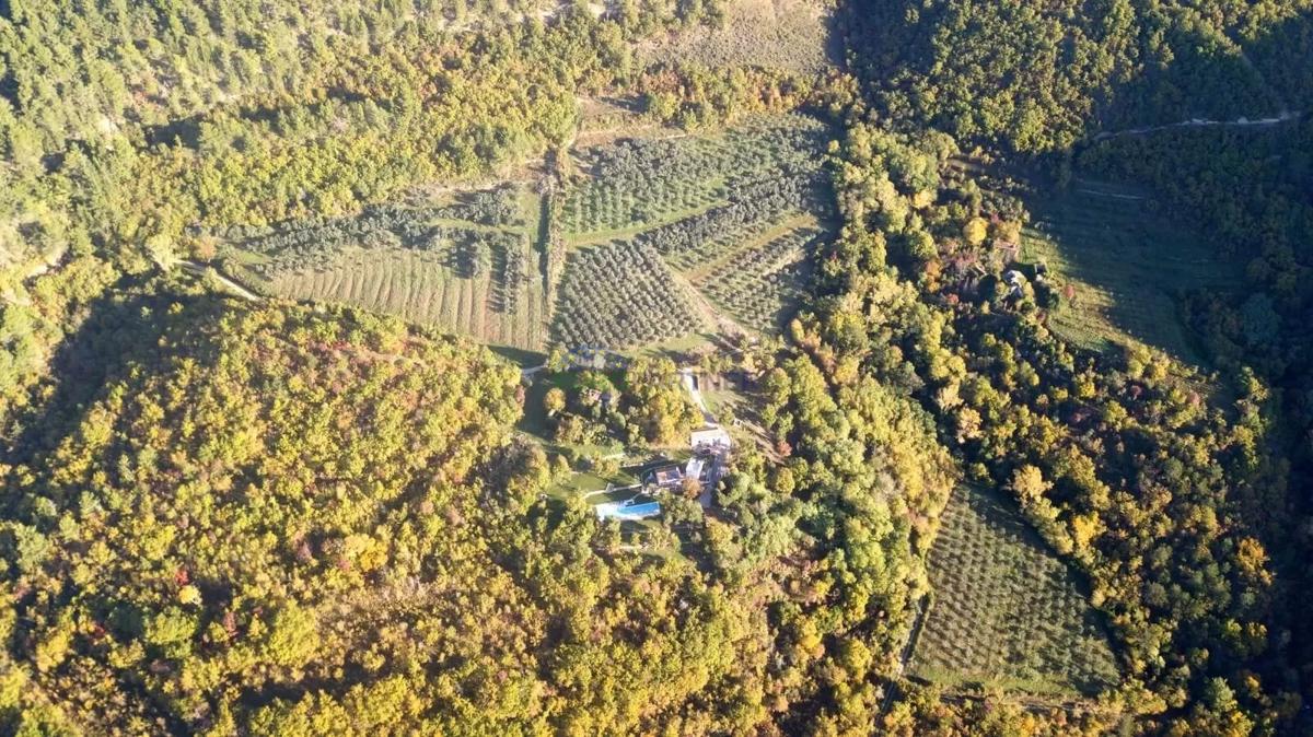 Istra, ekskluzivno posestvo v srcu Grožnjana – popolna zasebnost in edinstvena lega