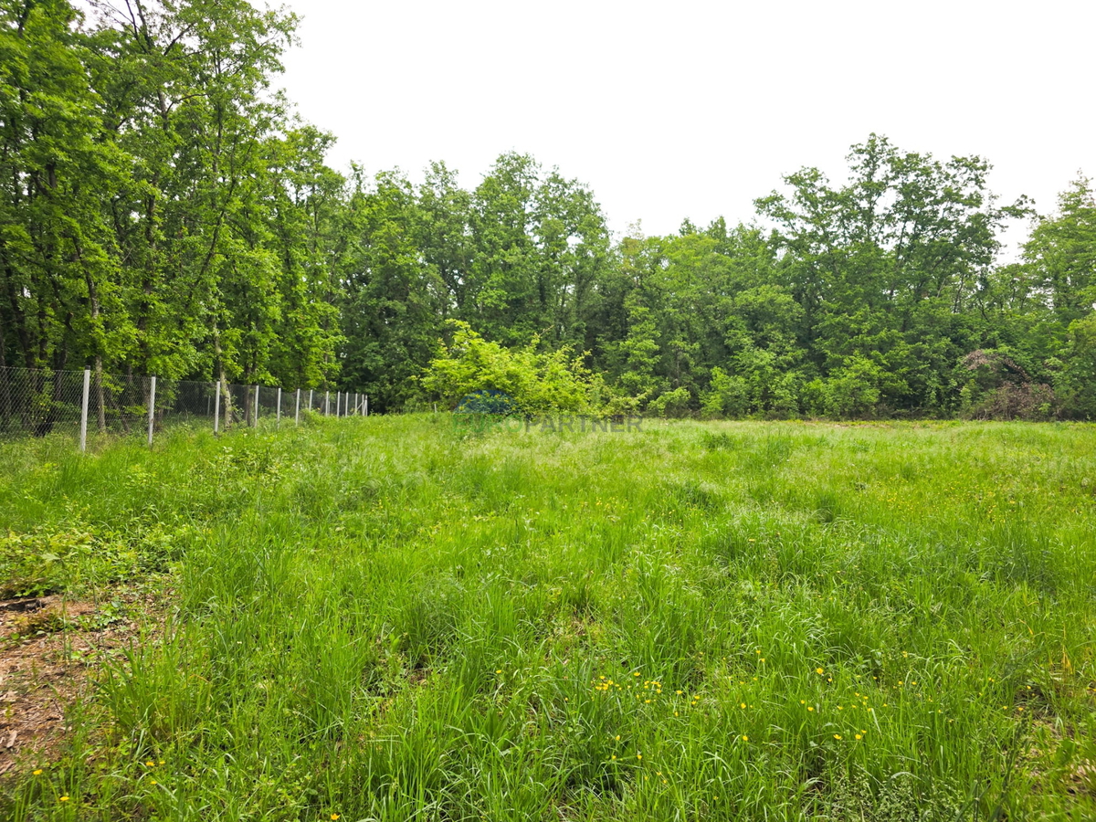 Zemljišče z gradbenim dovoljenjem, Brtonigla, Istra