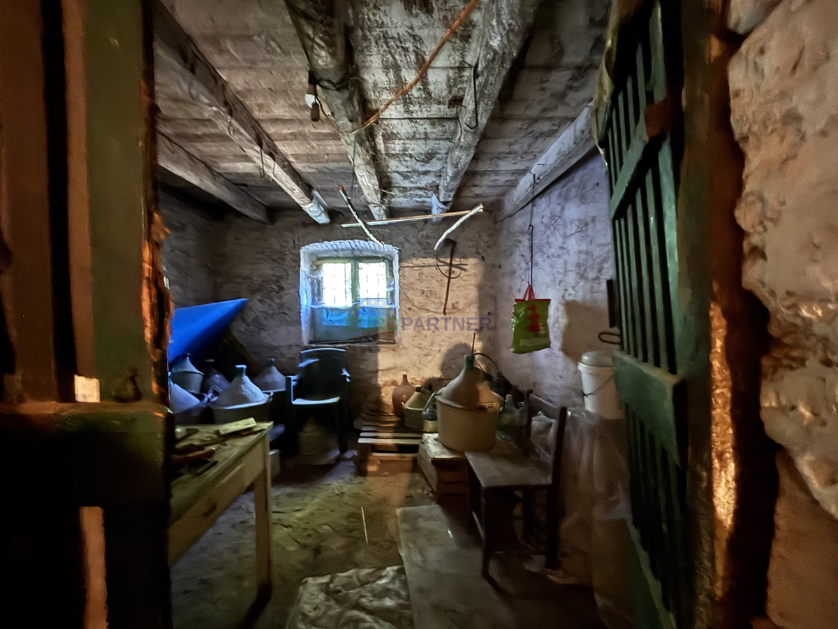 Istra, Novigrad, starina v okolici Novigrada