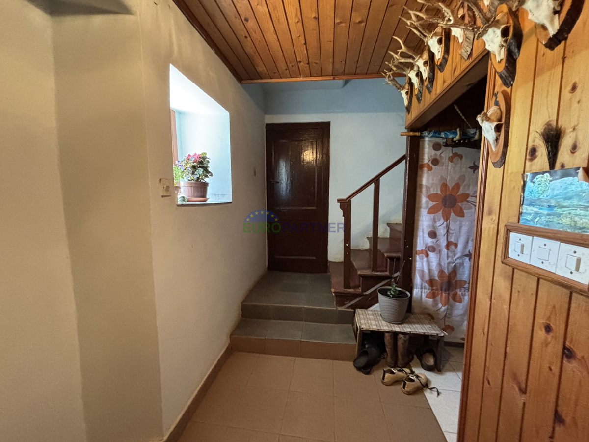Istra, Novigrad, starina v okolici Novigrada