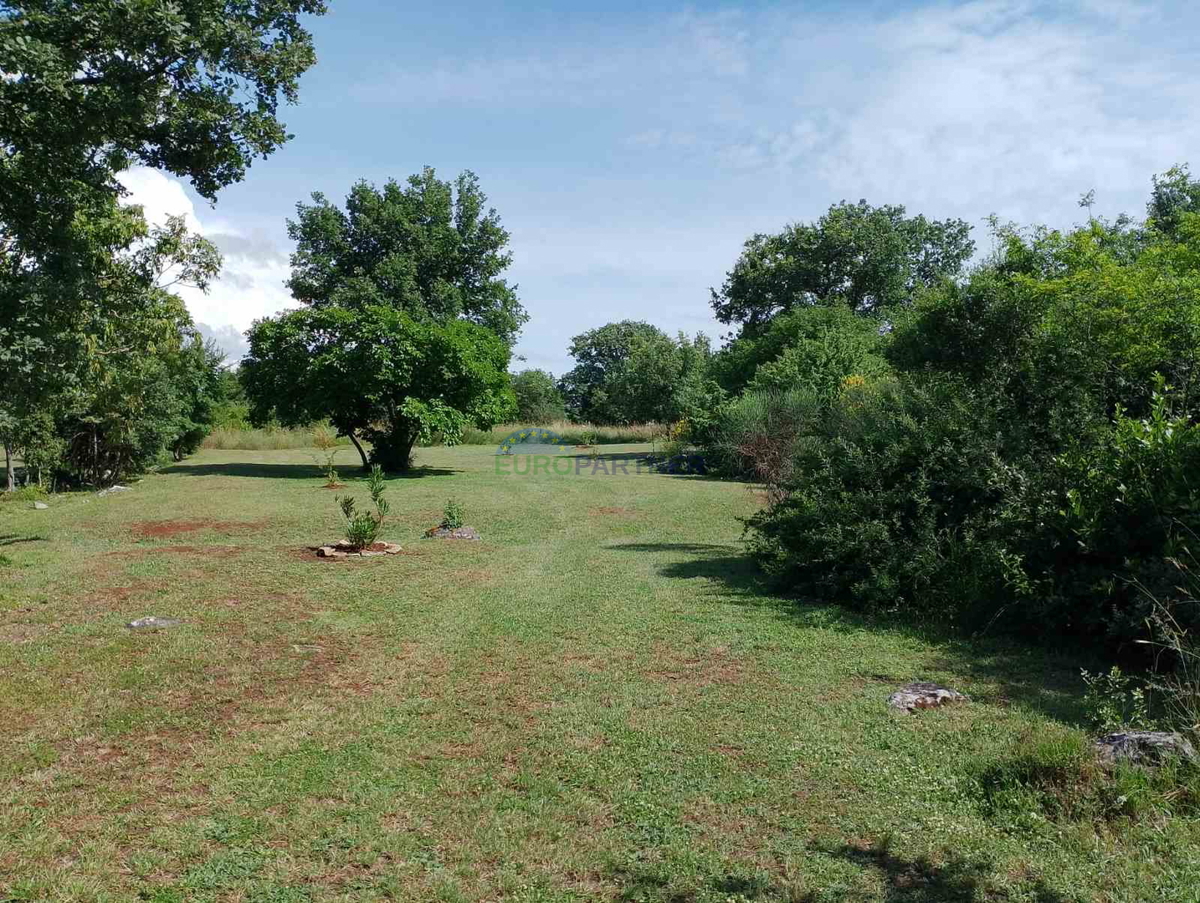 Istra, kmetijsko zemljišče v bližini centra Rovinja