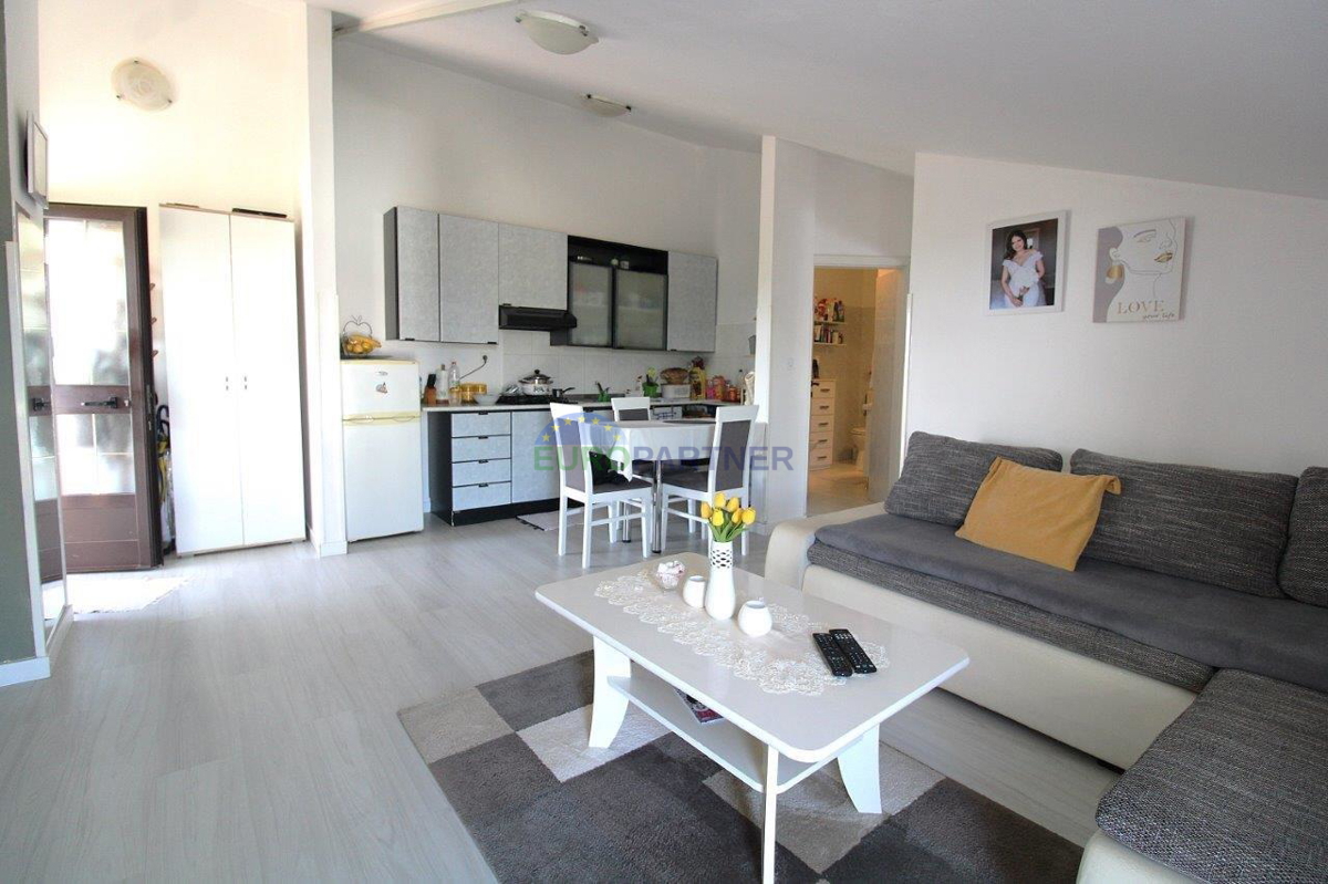 Apartma 800m od morja, Poreč