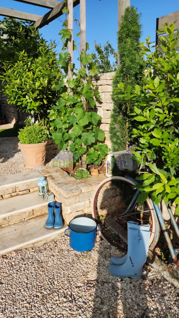 Istra, Svetvičenat, prekrasna hiša s bazenom