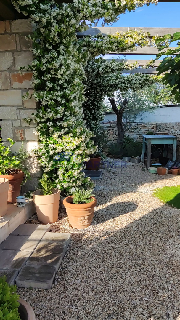 Istra, Svetvičenat, prekrasna hiša s bazenom