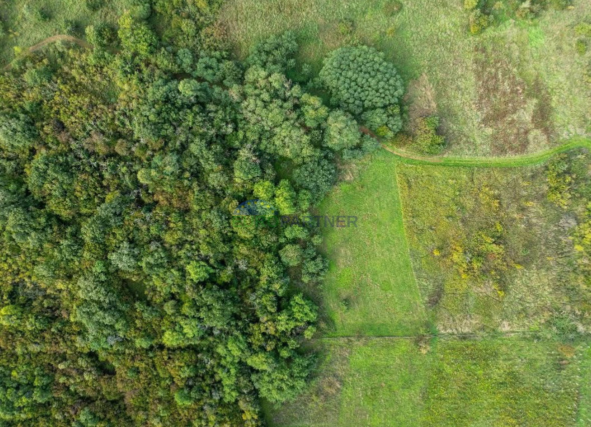 Istra, Poreč, kmetijsko zemljišče na privlačni lokaciji
