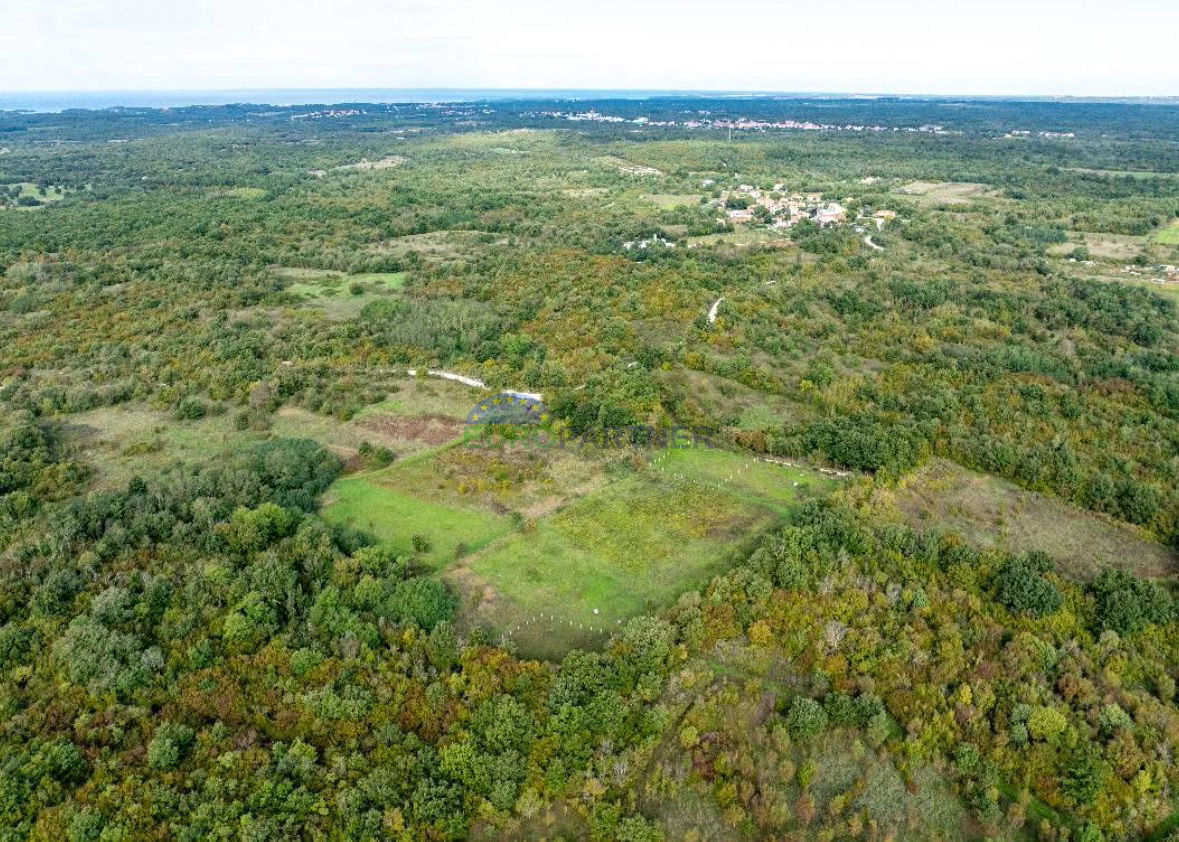 Istra, Poreč, kmetijsko zemljišče na privlačni lokaciji