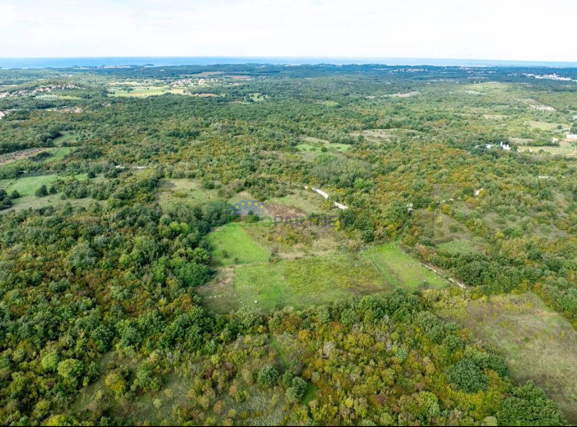 Istra, Poreč, kmetijsko zemljišče na privlačni lokaciji