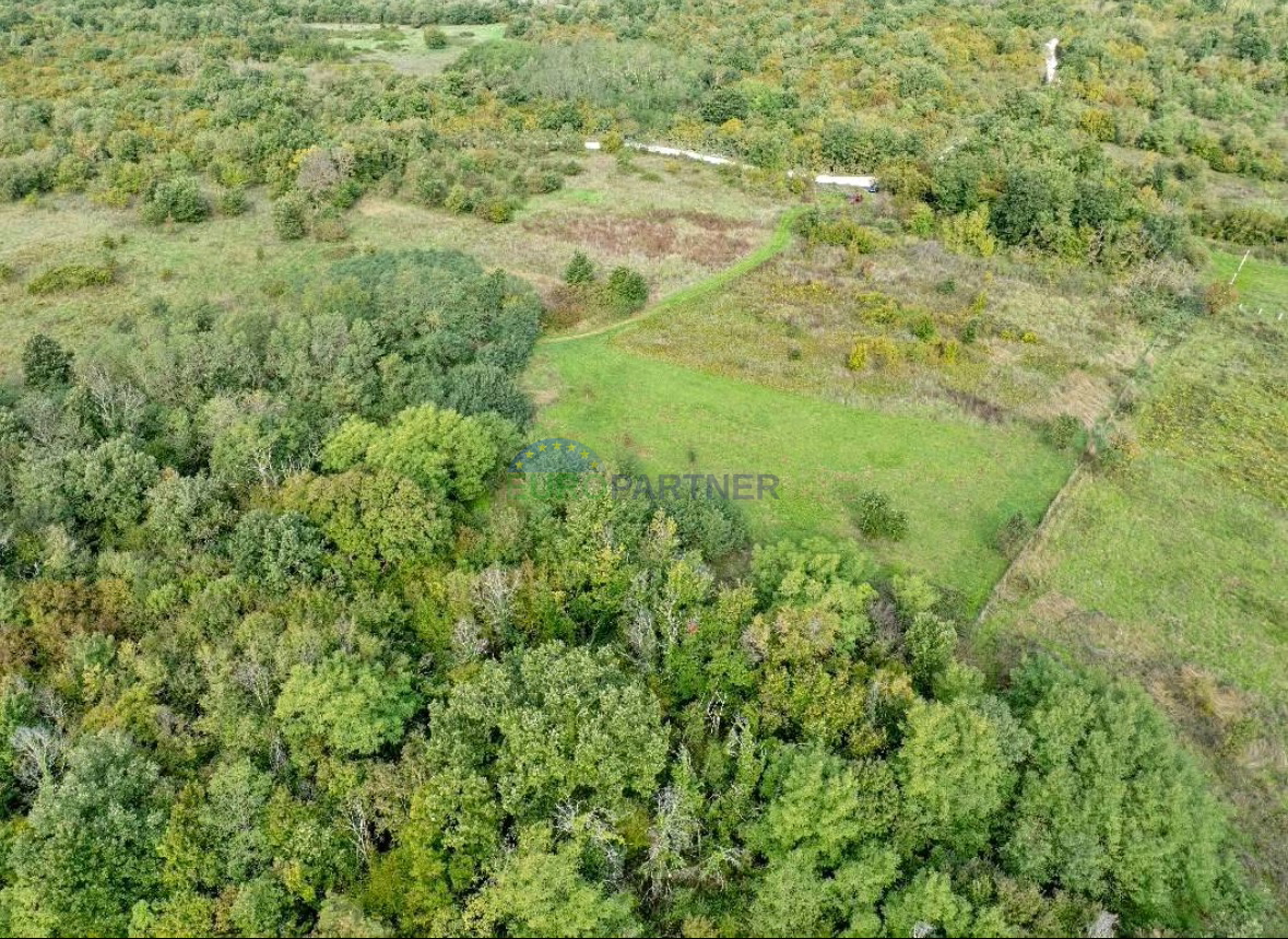 Istra, Poreč, kmetijsko zemljišče na privlačni lokaciji