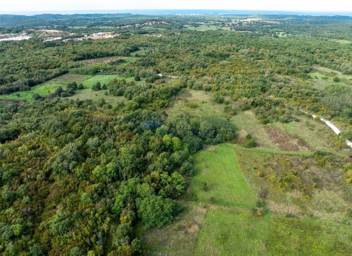 Istra, Poreč, kmetijsko zemljišče na privlačni lokaciji