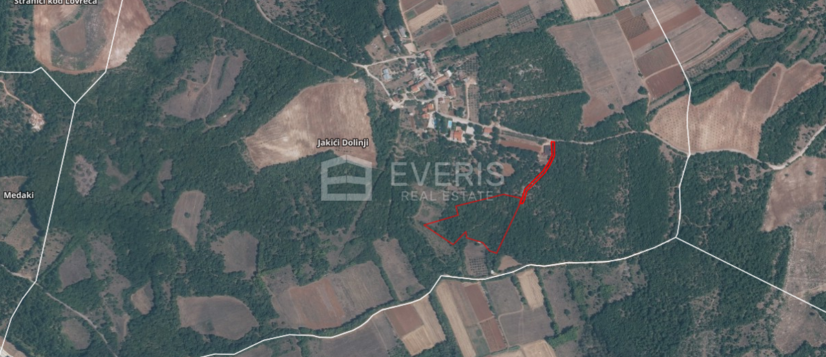 Jakići Dolinji, Sveti Lovreč, 13.530m2