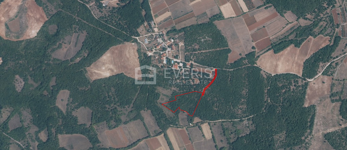 Jakići Dolinji, Sveti Lovreč, 13.530m2