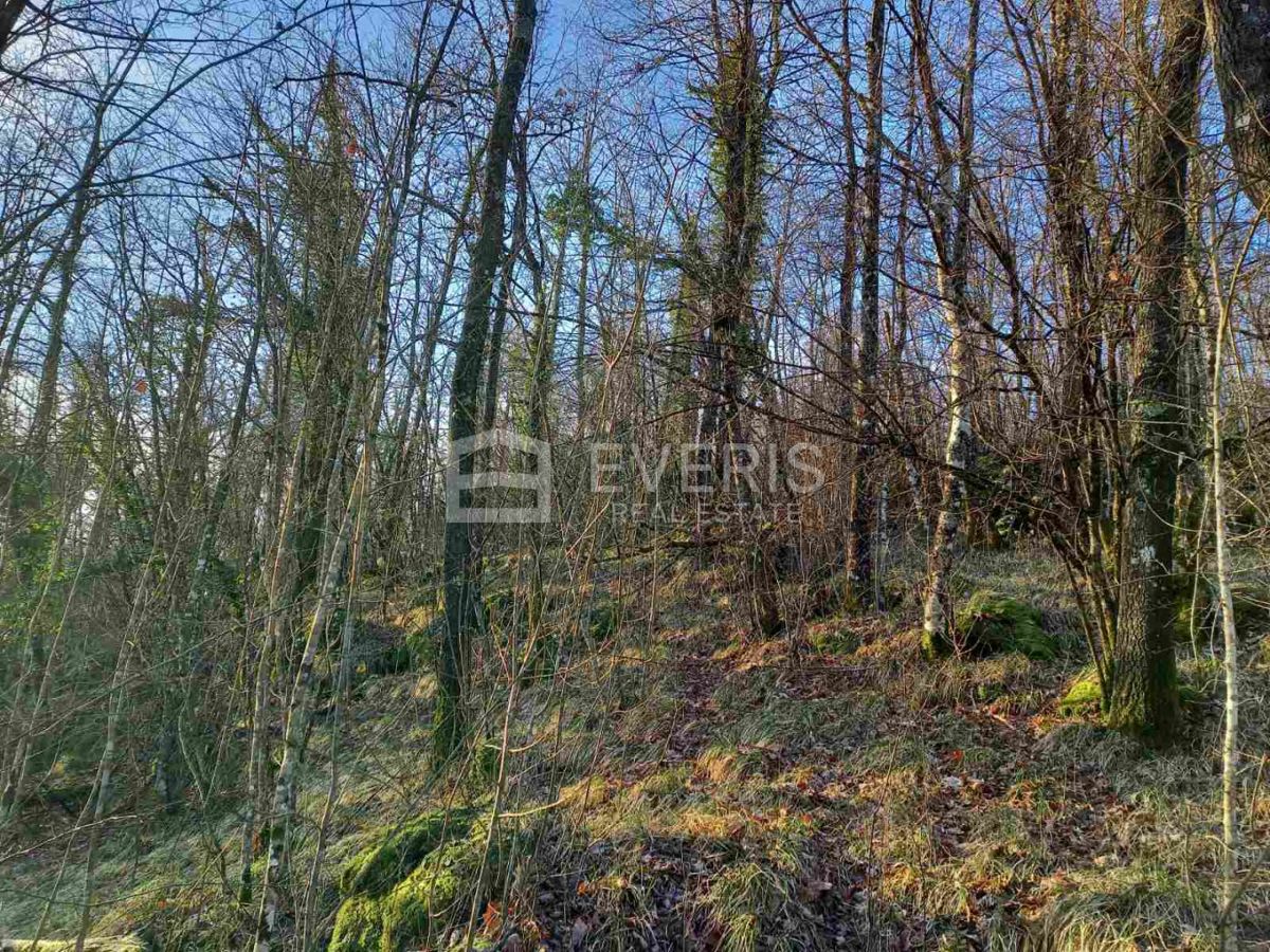 Zvoneća, Matulji, 5.387m2