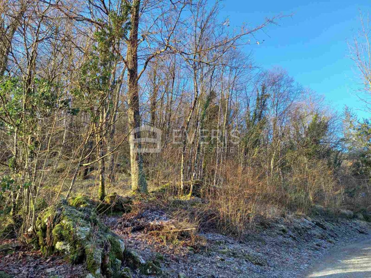 Zvoneća, Matulji, 5.387m2