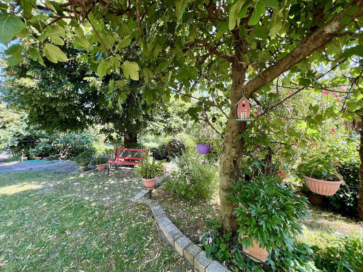 Cernik, Čavle, 320m2