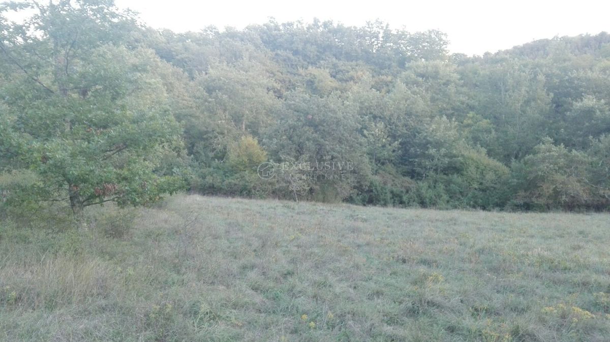 Zemljišče Trviž, Pazin - Okolica, 27.000m2