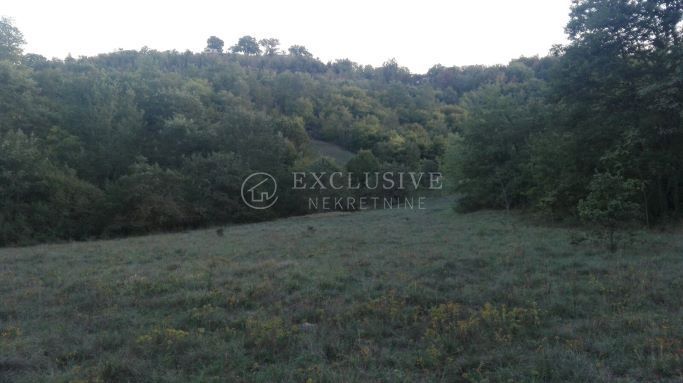 Zemljišče Trviž, Pazin - Okolica, 27.000m2