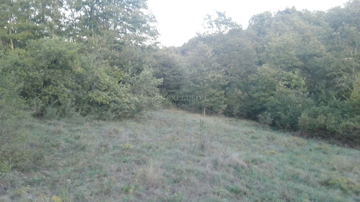 Zemljišče Trviž, Pazin - Okolica, 27.000m2