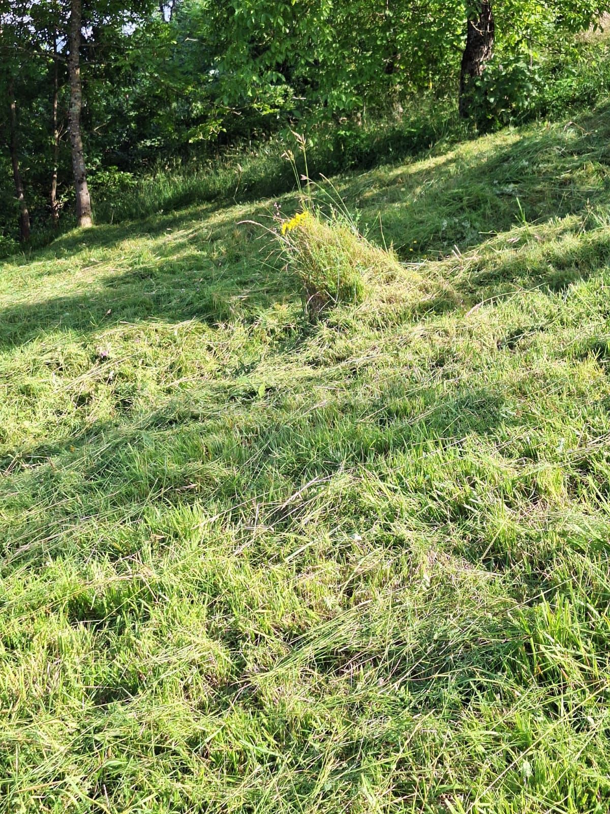 Zemljišče Jablan, Vrbovsko, 544m2