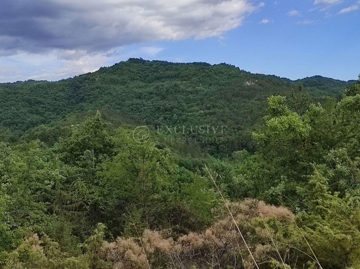 Zemljišče Butoniga, Pazin - Okolica, 47.136m2